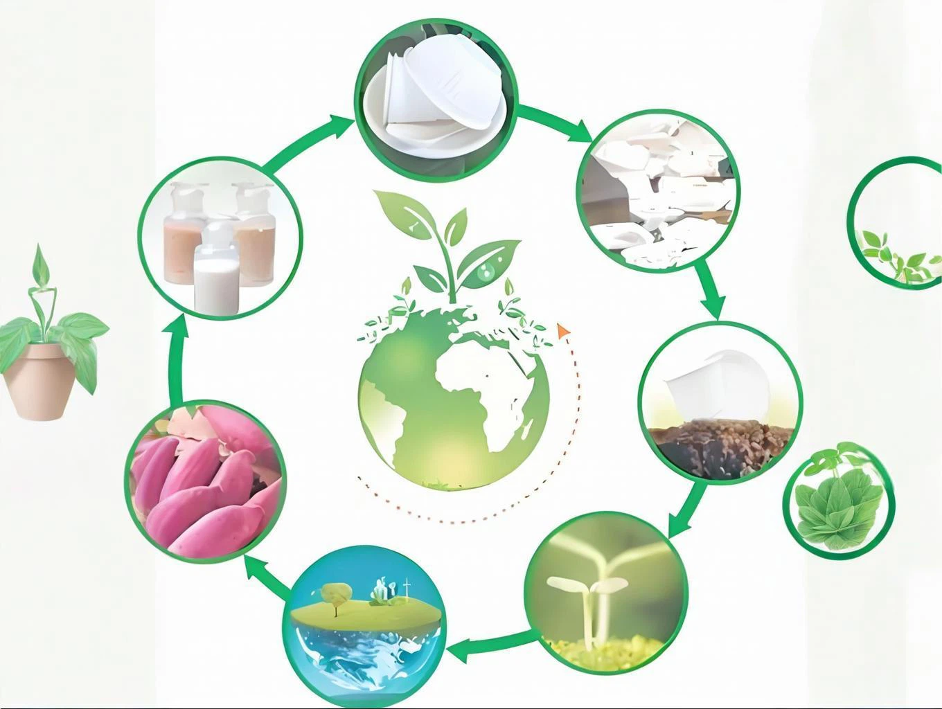 Recycled & Biodegradable Materials Recycled & Biodegradable Materials